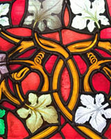 Coriander Stained Glass